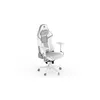 PC spēļu krēsls ENDORFY Scrim Onyx White Photo 2
