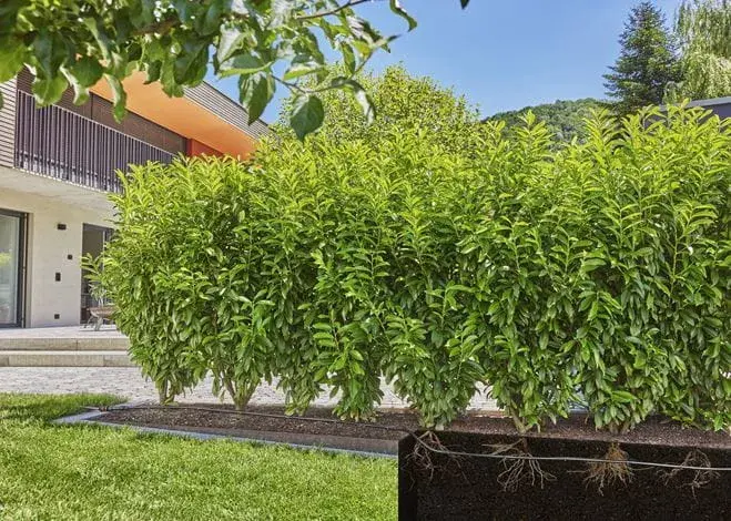 Pilienu apūdeņošanas sistēma Gardena 13500-20 Photo 4