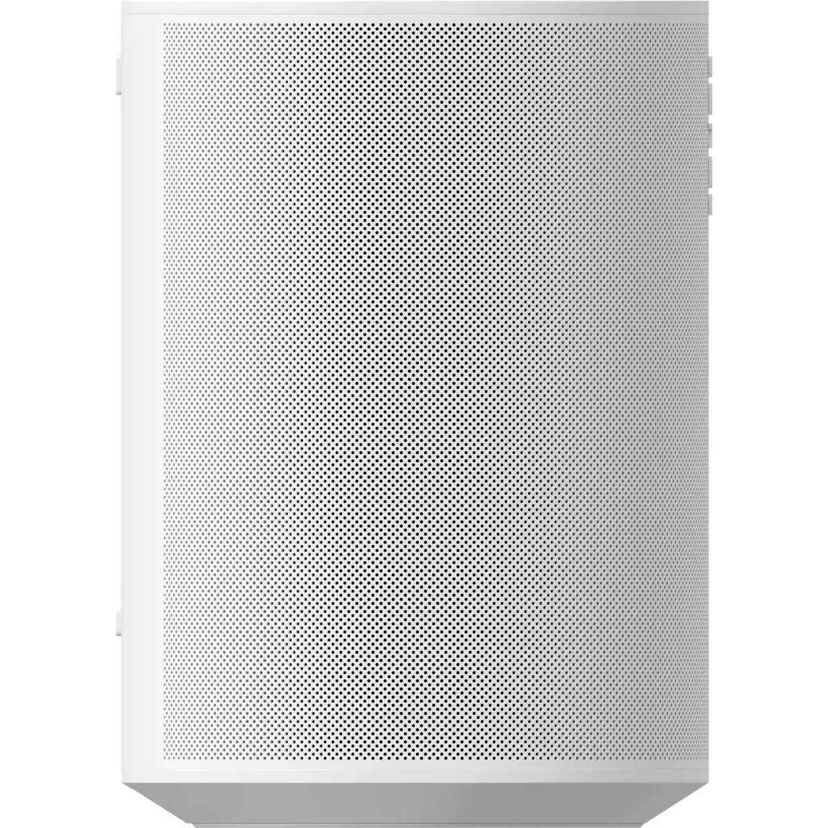 Портативная колонка Sonos Era 100 E10G1EU1 Photo 4
