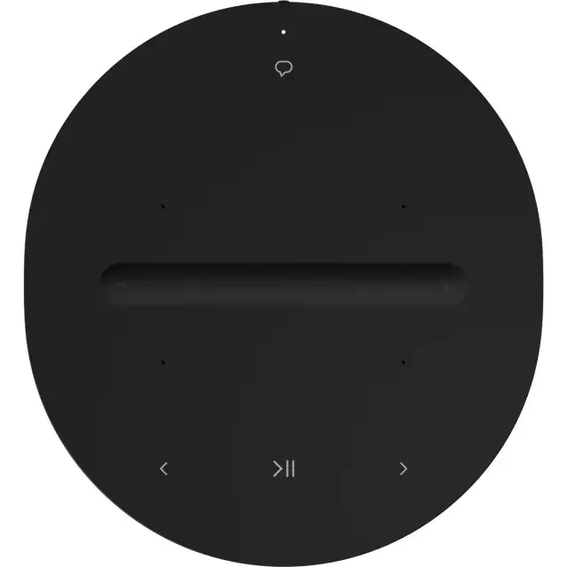 Портативная колонка Sonos Era 100 E10G1EU1BLK Photo 6