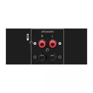 Non-Magnetic Material Speaker Terminals