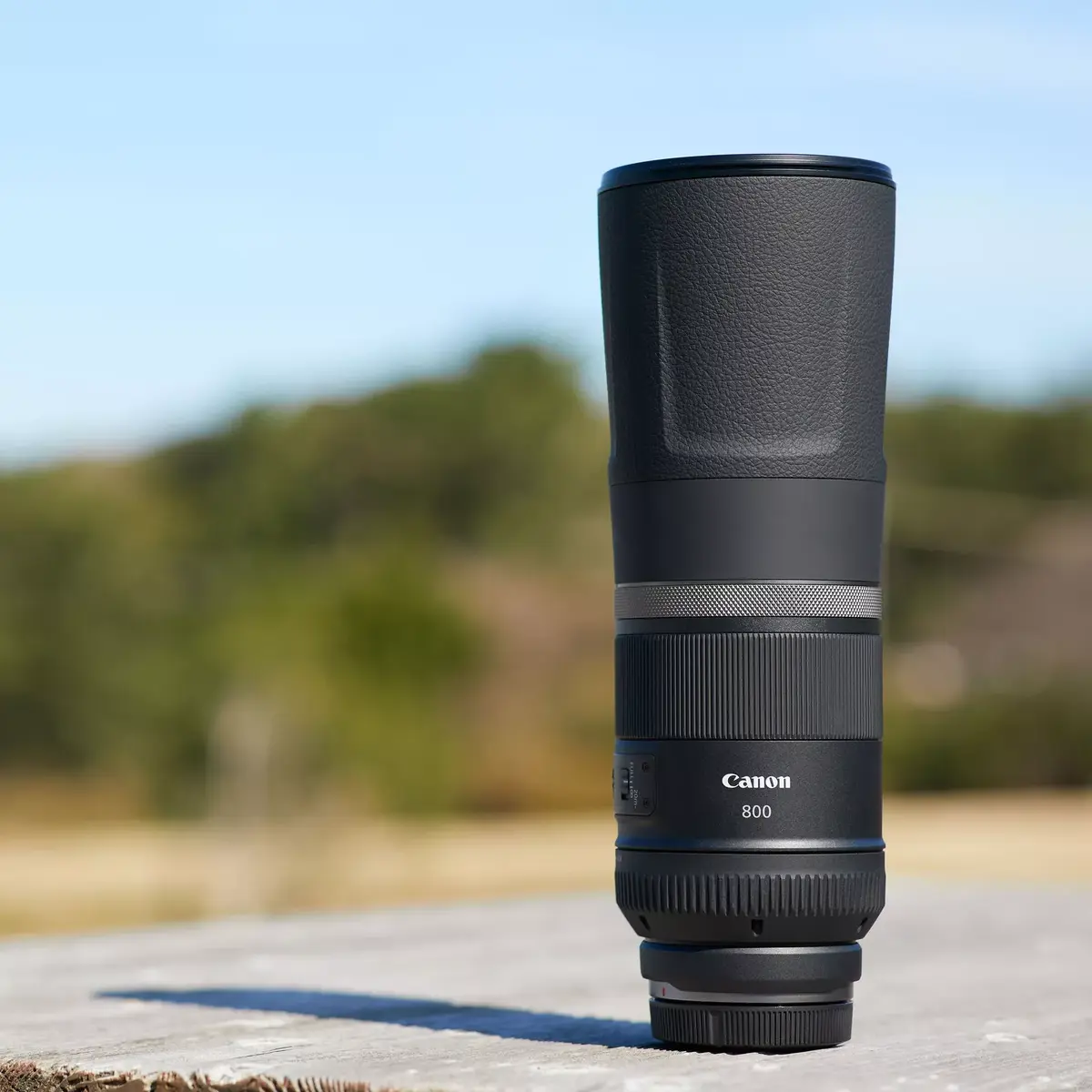 Телефотообъектив Canon RF 800mm F11 IS STM Photo 8