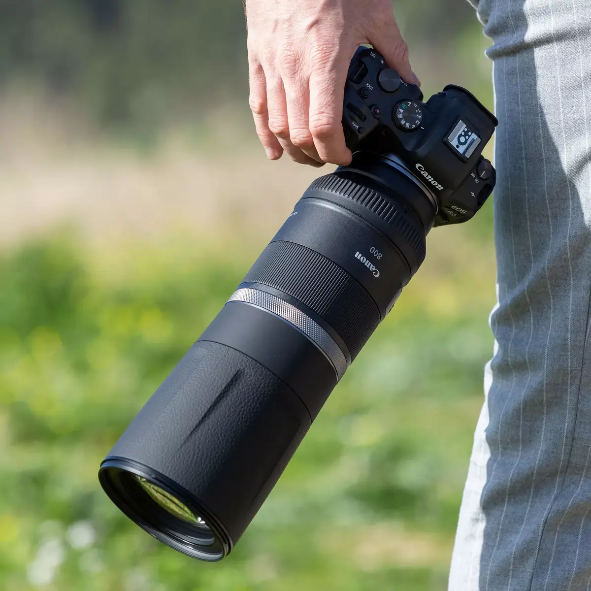 Телефотообъектив Canon RF 800mm F11 IS STM Photo 11