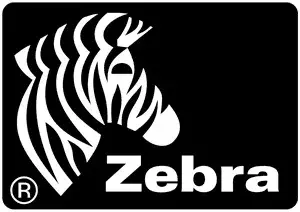 Рулон этикеток Zebra Z-Perform 1000D White — термочувствительная бумага, 148×210 мм, втулка 76 мм, 790 шт.