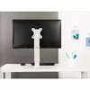Monitoru statīvs Techly ICA-LCD 260 Photo 12