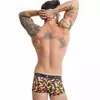 Боксер ANAIS MEN BOXER & BRIEF D-233682 Photo 2