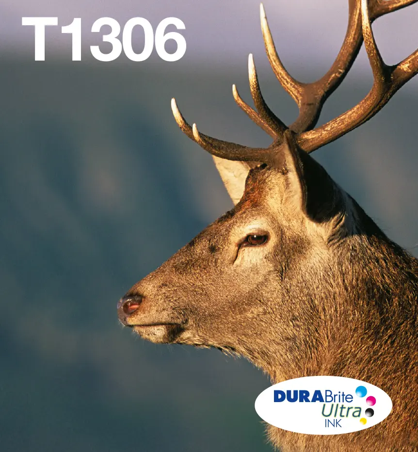 Epson Stag T1306 DURABrite Ultra Daudzkrāsu