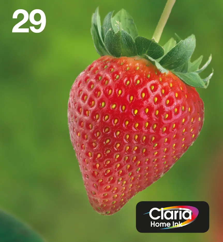 Tintes kasetne Epson Strawberry Multipack 4-colours