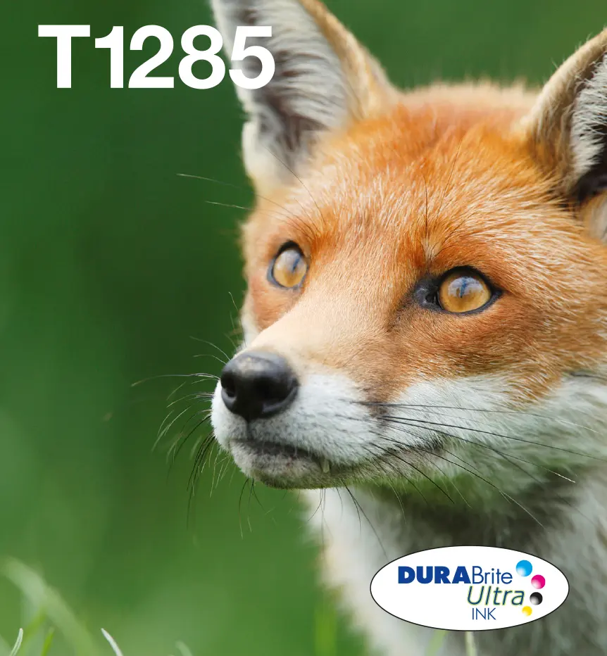 Epson Fox T128 DURABrite Ultra oriģinālā