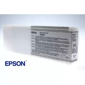 Картридж Epson T591900 Светло-светло-черный