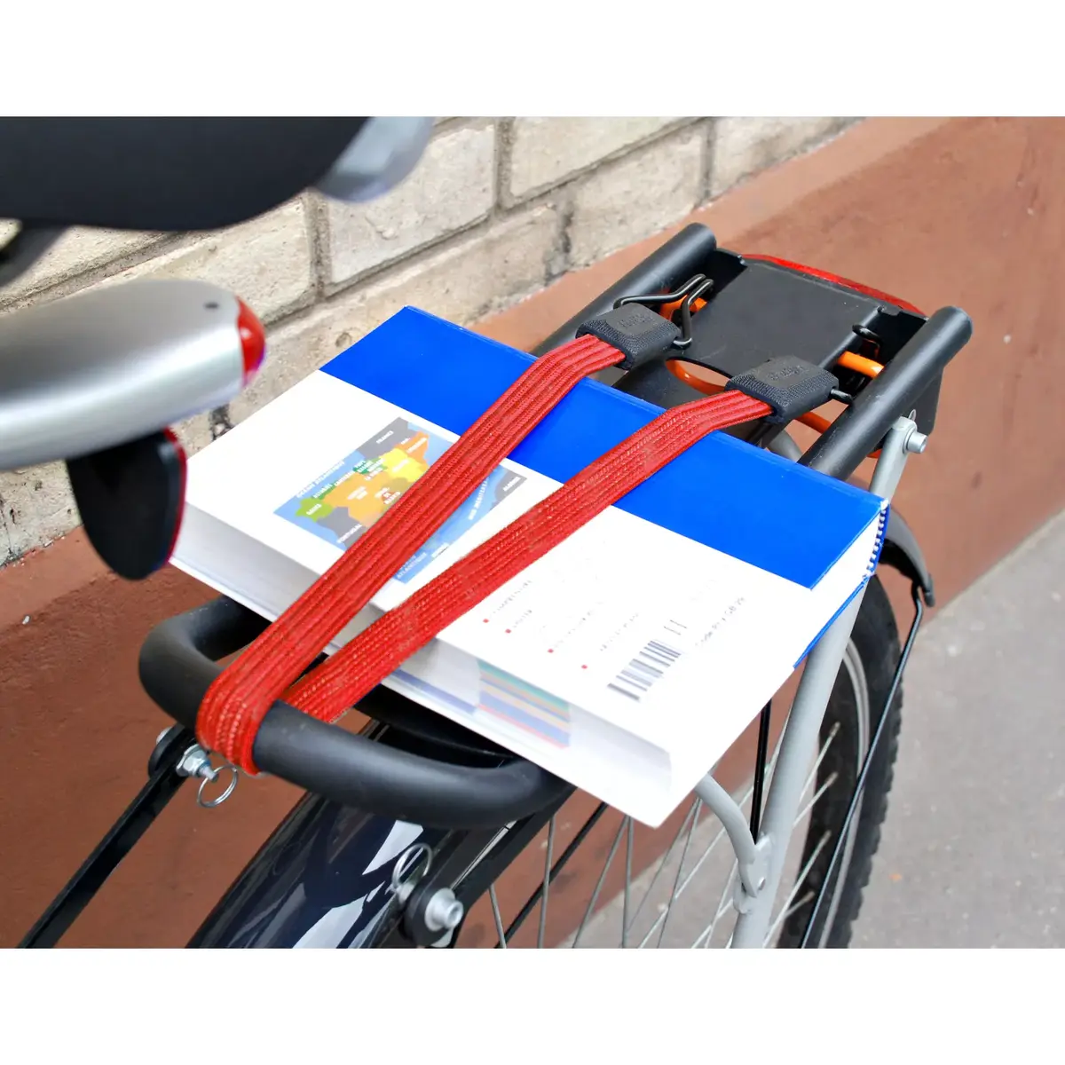Bungee Cord MASTER LOCK 60cm x 18mm Smooth Photo 2