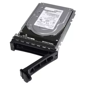 DELL 161-BBRC cietā diska draiveris 3.5" 2 TB Serial ATA III