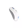 Мышь ENDORFY GEM Plus Wireless Onyx White Photo 2