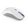 Мышь ENDORFY GEM Plus Wireless Onyx White Photo 6