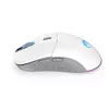 Мышь ENDORFY GEM Plus Wireless Onyx White Photo 11