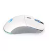 Мышь ENDORFY GEM Plus Wireless Onyx White Photo 12