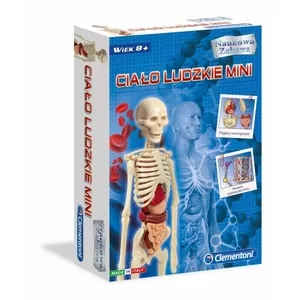 Образовательная игрушка Clementoni Mini Human Body — 3D модель анатомии для изучения частей тела