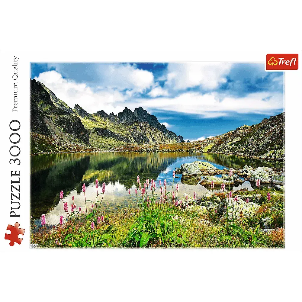 Puzle TREFL Starolesnianski Pond — 3000 gab. Photo 2