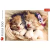 Puzle TREFL Sleeping kittens — 500 gab. Photo 2