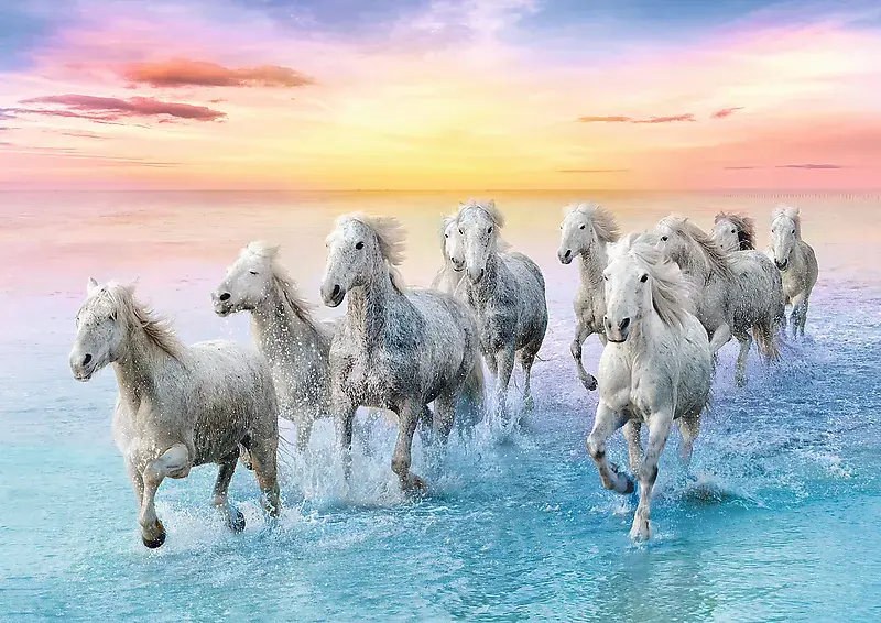 TREFL Galloping white horses — 500 daļu puzle Photo 2