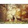 Heye Stags Puzzle — 1000 pieces Photo 2