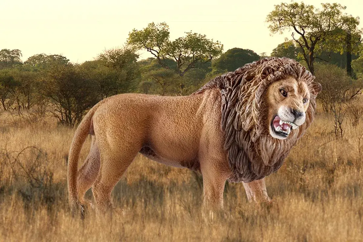 Schleich WILD LIFE Lauva rēcīga Photo 2