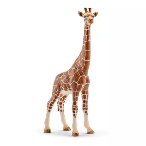 Фигура, Schleich, WILD LIFE Жираф, самка