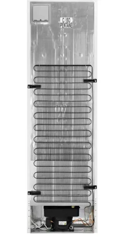 Ledusskapis Electrolux LNT7ME36G2 Photo 3