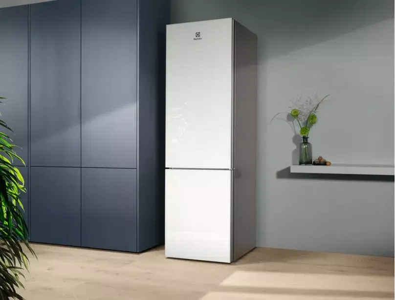 Ledusskapis Electrolux LNT7ME36G2 Photo 10
