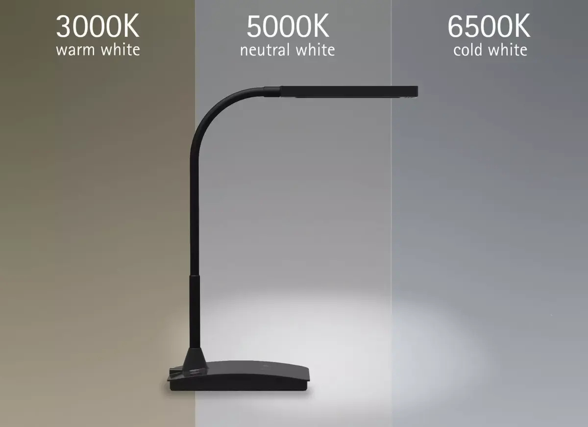 Table lamp MAUL 8201790 Photo 4