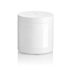 Indoor Motion Detector Somfy 2401490 Compatible with Pets