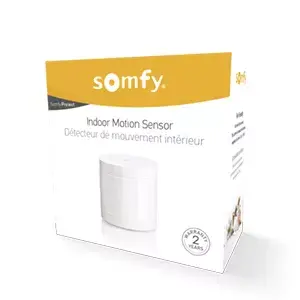 Датчик движения Somfy 2401490 Photo 5