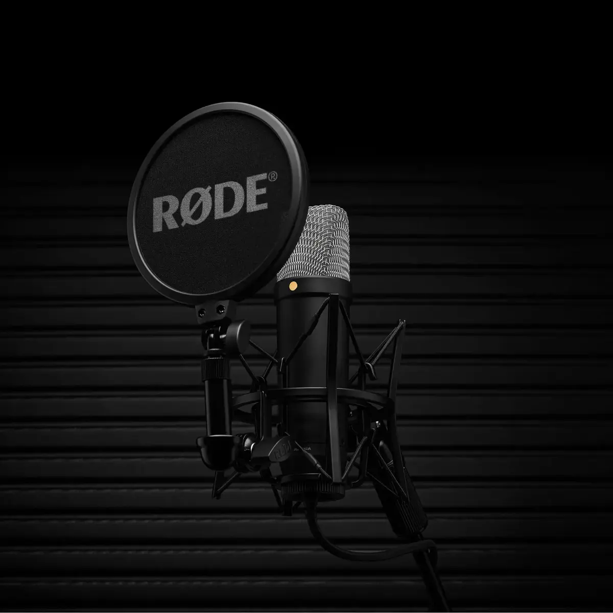 Студийный микрофон RØDE NT1-A 5th Gen Photo 4