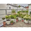Pilienu apūdeņošanas sistēma Gardena 13401-20 Photo 2