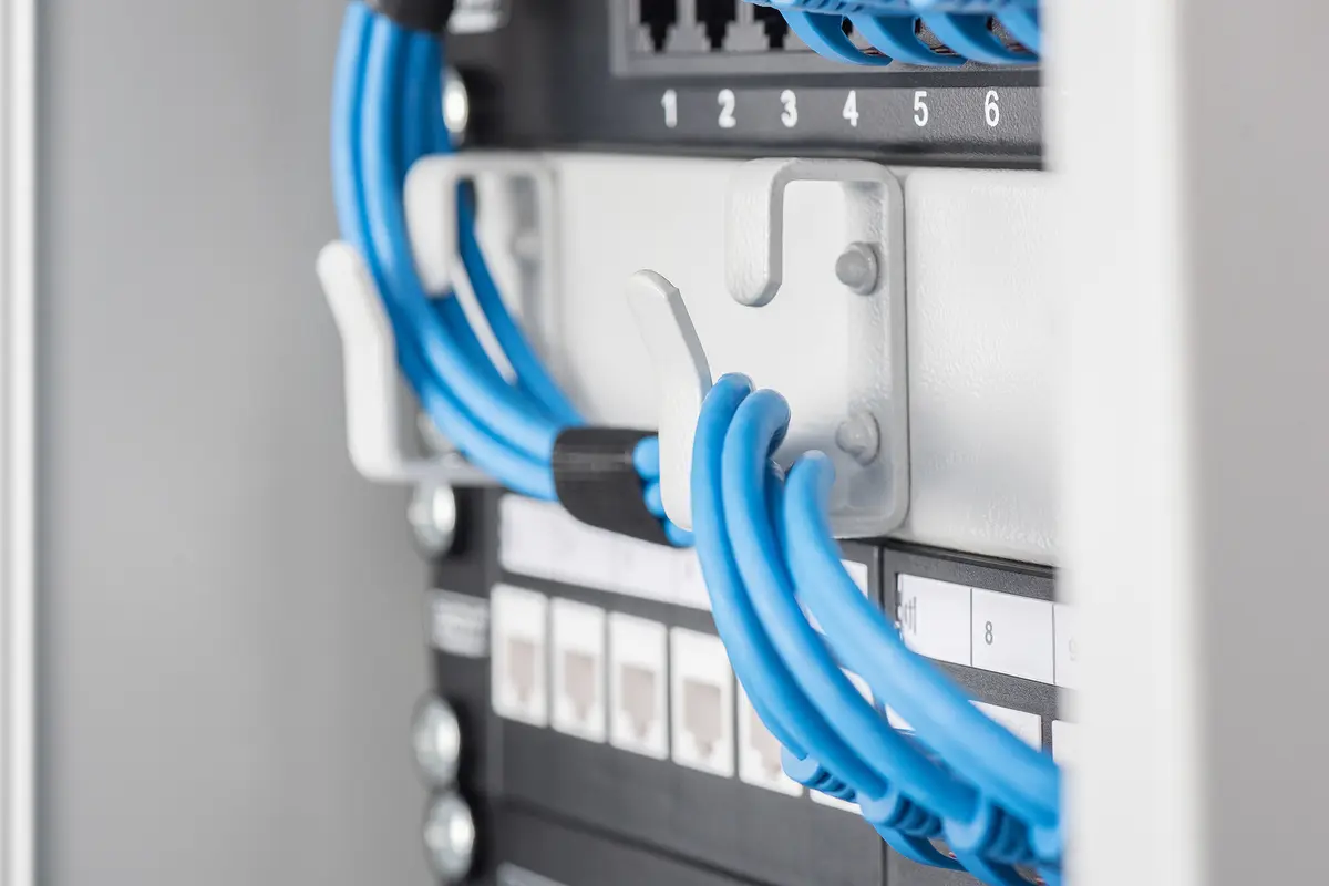 DIGITUS DN-91420 12-Port Modular Patch Panel Photo 3