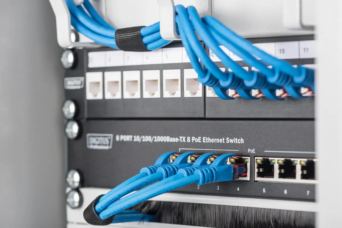 DIGITUS DN-91420 12-Port Modular Patch Panel Photo 4