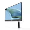 Monitors ASUS ZenScreen MB249C Photo 7