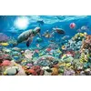 Ravensburger Beneath the Sea — 5000 gab. puzle Photo 3