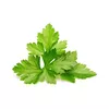 Aizpildījums Click & Grow Koriandrs Photo 2