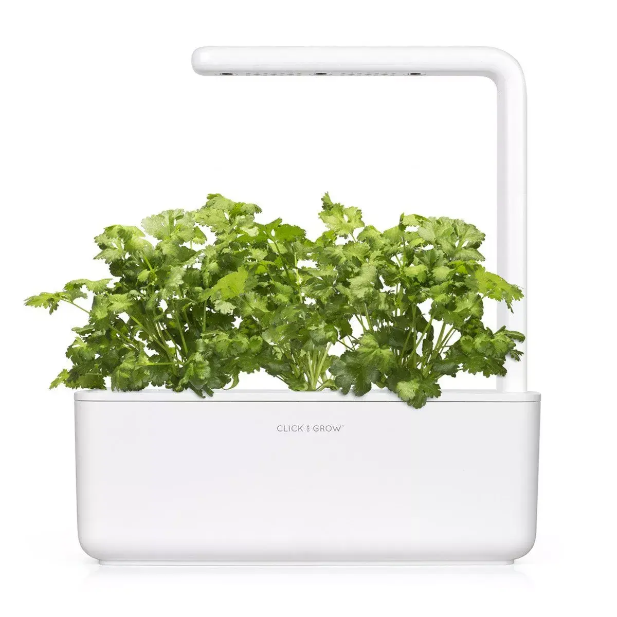 Aizpildījums Click & Grow Koriandrs Photo 4