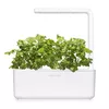 Aizpildījums Click & Grow Koriandrs Photo 4