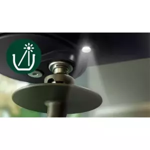 Automatic Bowl Lighting