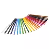 Crayola 24 Coloured pencils — 24 цвета Photo 2