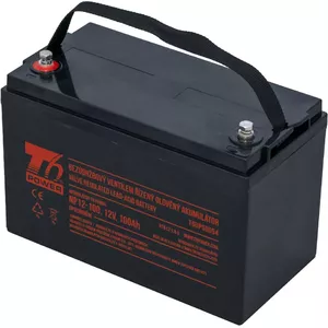 Sealed Lead-Acid Battery t6 power NP12-100 12V 100Ah for UPS and backup power