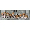 Пазл Clementoni Beagles 1000 элементов Photo 2