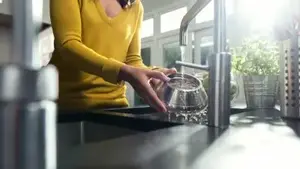 Easy-to-clean sieve