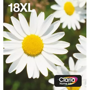 Картридж Epson 18XL Multipack Easy Mail Packaging 31.3 мл Черный Желтый Голубой Пурпурный