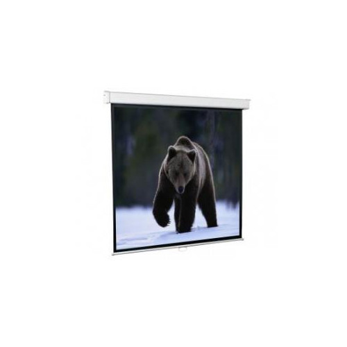 PROJECTOR SCREEN 1.53MX1.53M/ECONOMY SEM-1102 SCREENMEDIA