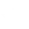 payment